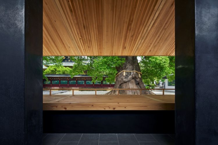 ©Koji Fujii / TOREAL