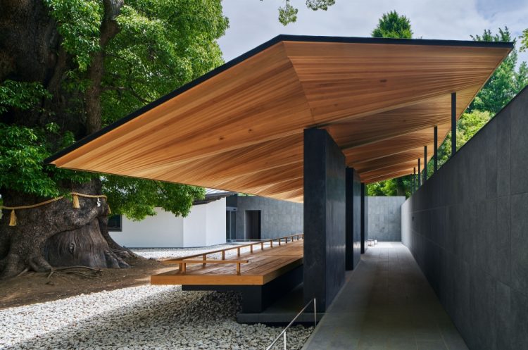 ©Koji Fujii / TOREAL