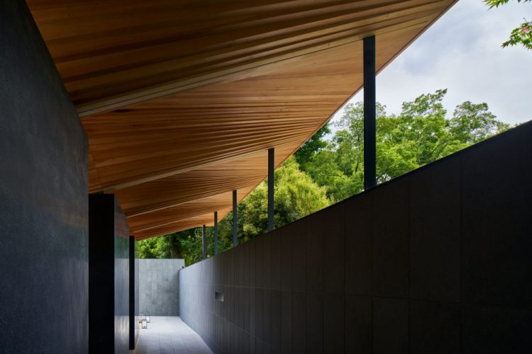 ©Koji Fujii / TOREAL