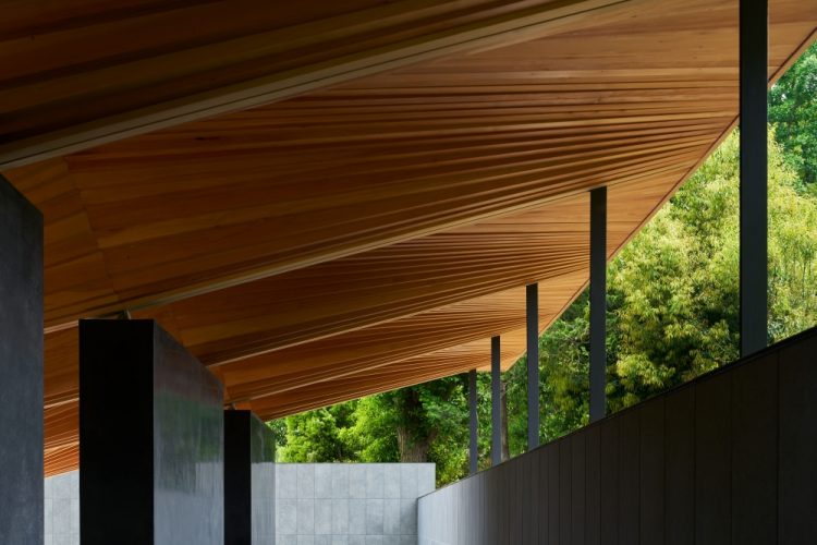 ©Koji Fujii / TOREAL