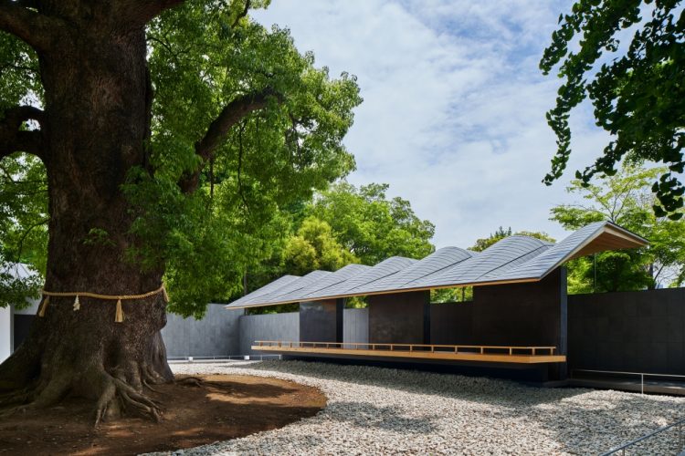 ©Koji Fujii / TOREAL