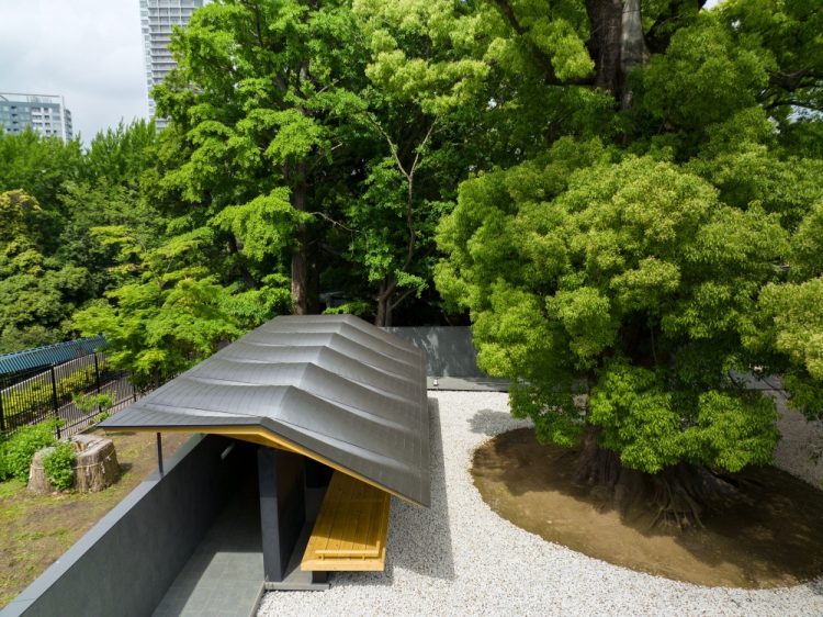 ©Koji Fujii / TOREAL