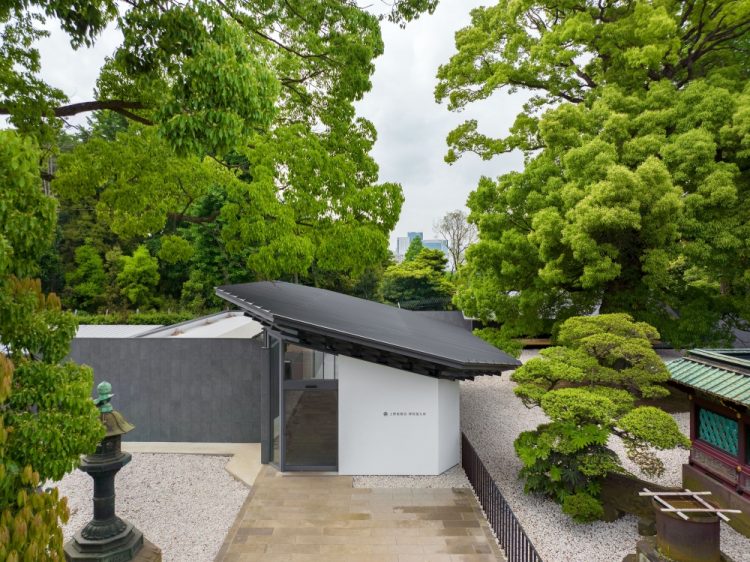 ©Koji Fujii / TOREAL