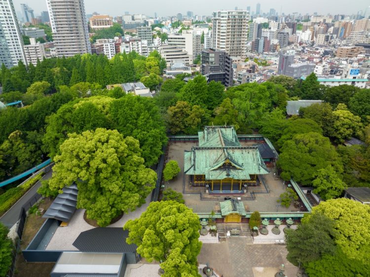 ©Koji Fujii / TOREAL