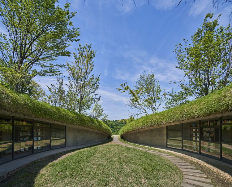 ©Koji Fujii / TOREAL