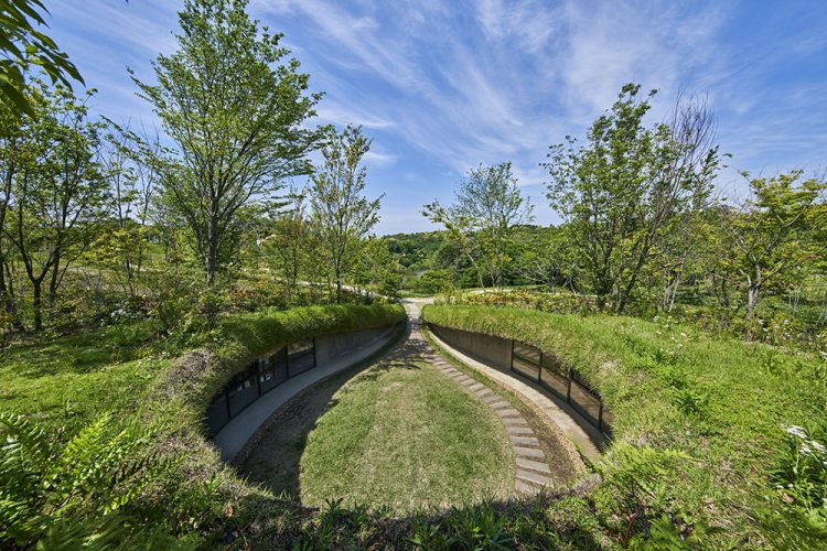 ©Koji Fujii / TOREAL