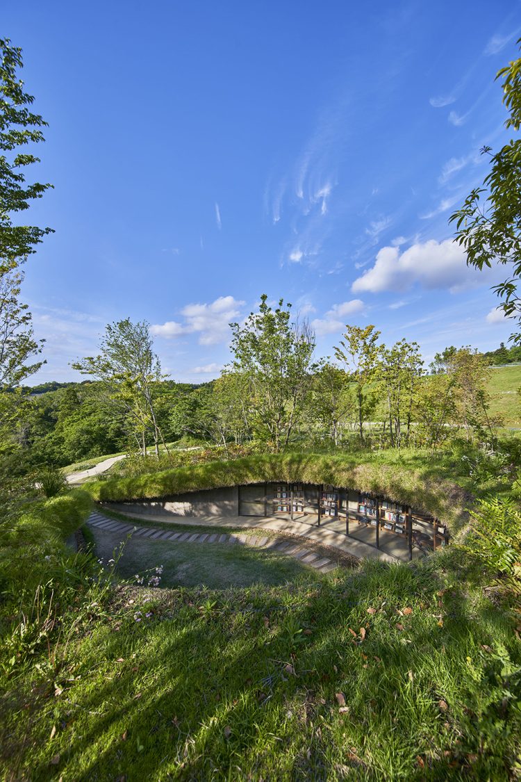 ©Koji Fujii / TOREAL