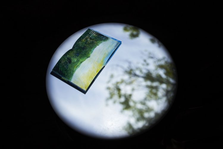 ©Koji Fujii / TOREAL