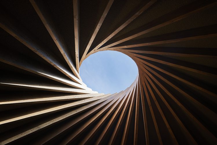 ©Koji Fujii / TOREAL