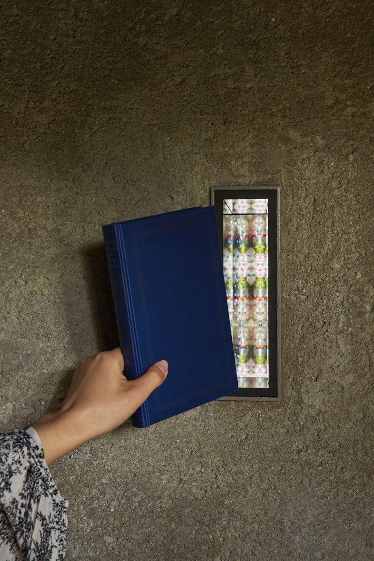 ©Koji Fujii / TOREAL