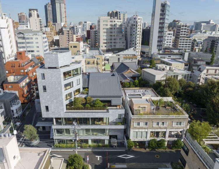 ©Koji Fujii / TOREAL