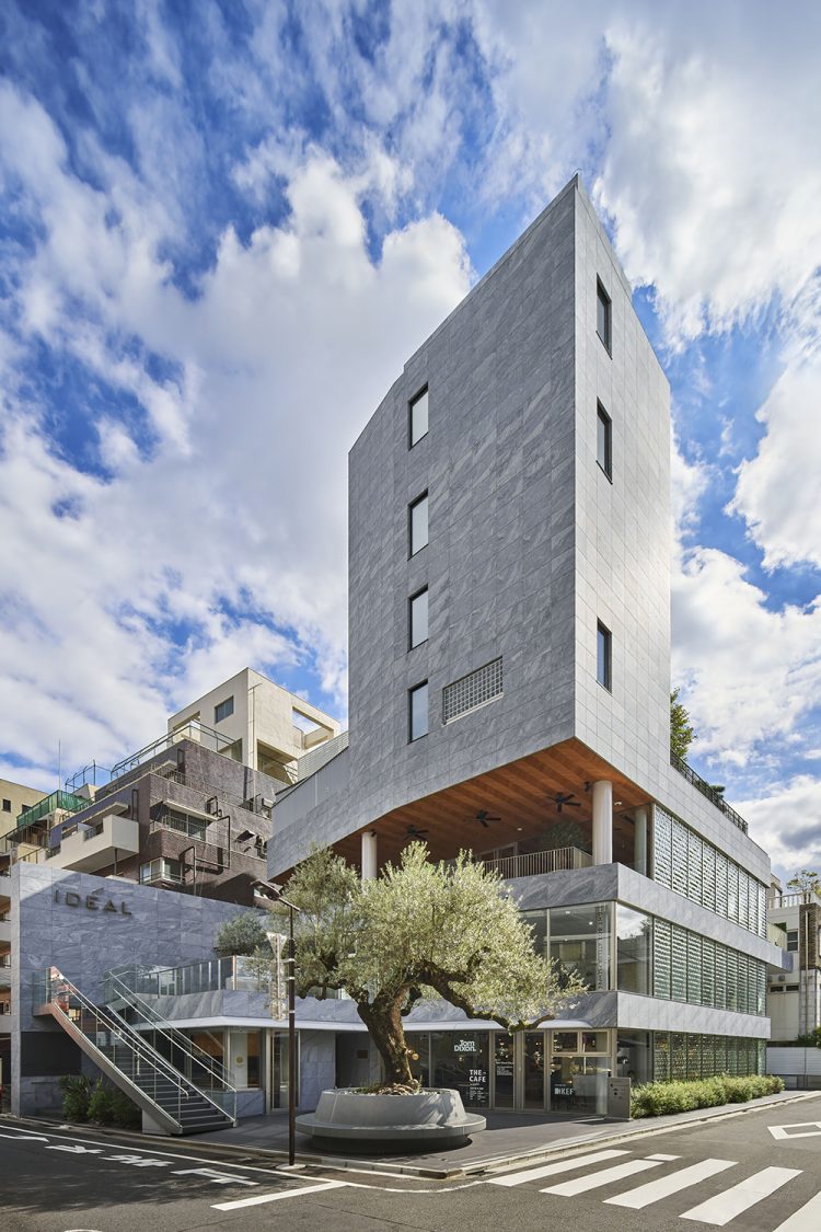 ©Koji Fujii / TOREAL