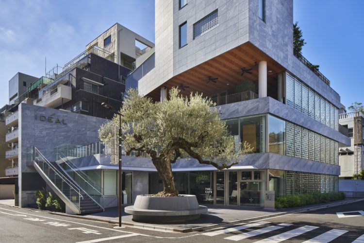 ©Koji Fujii / TOREAL