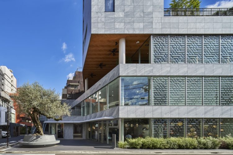 ©Koji Fujii / TOREAL