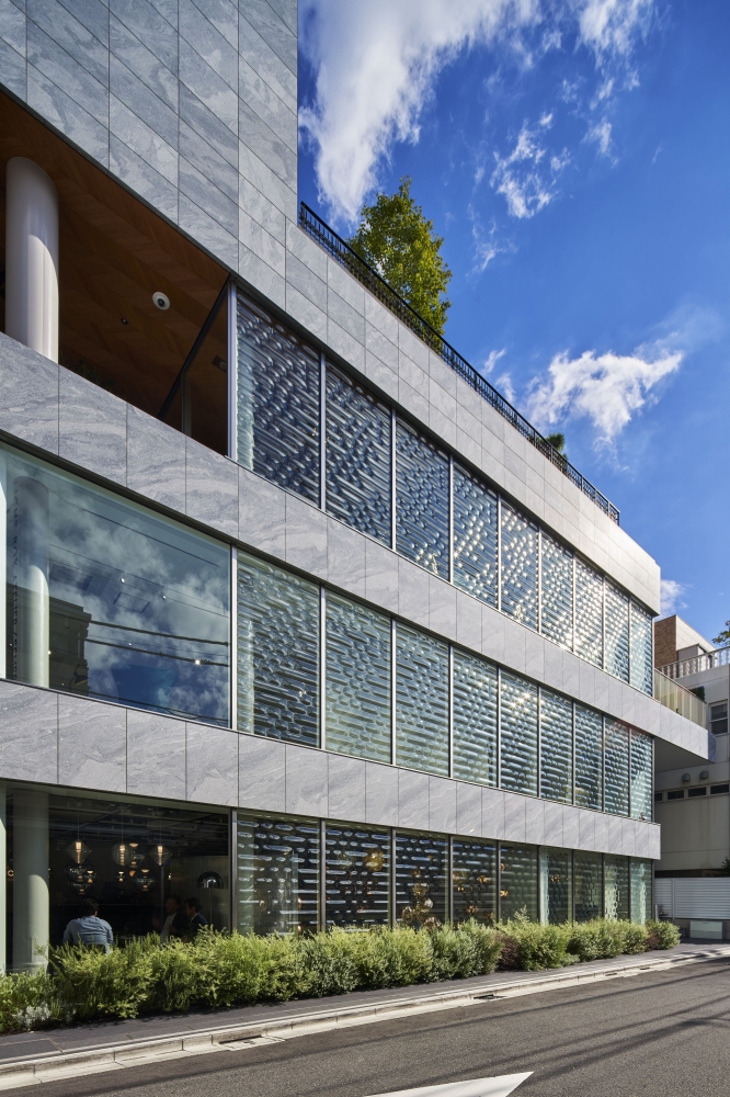 ©Koji Fujii / TOREAL