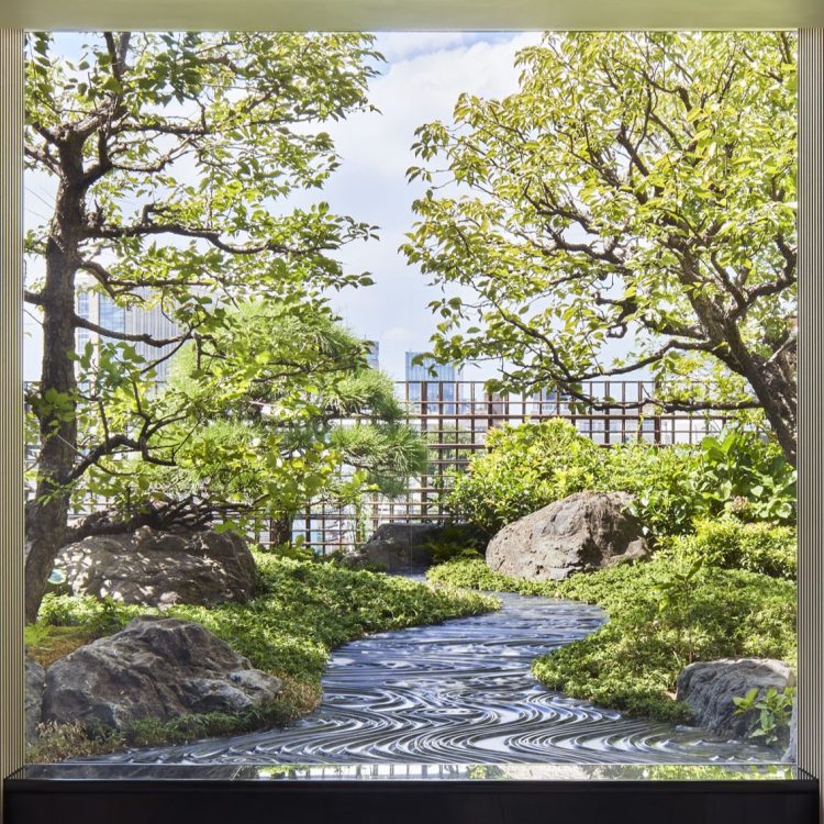 ©Koji Fujii / TOREAL