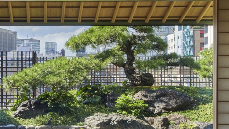 ©Koji Fujii / TOREAL