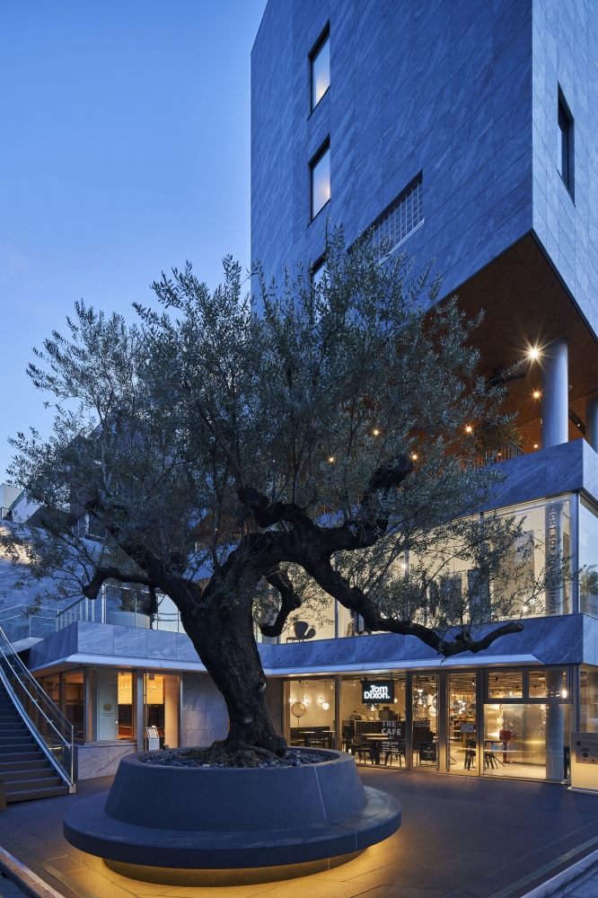 ©Koji Fujii / TOREAL