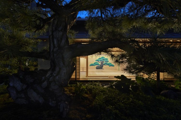 ©Koji Fujii / TOREAL